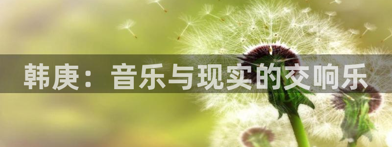 长征娱乐下载：韩庚：音乐与现实的交响乐