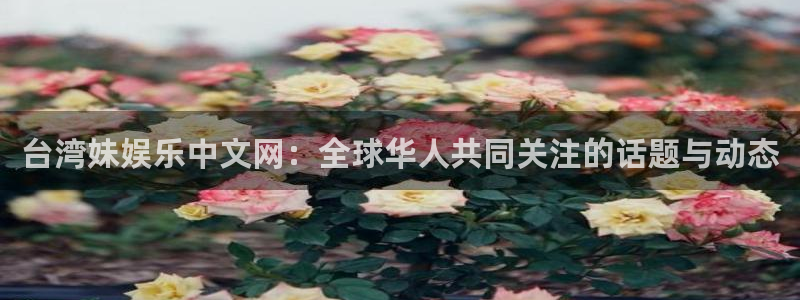 长征娱乐在线开号：台湾妹娱乐中文网：全球华人共同关注的话题与动态